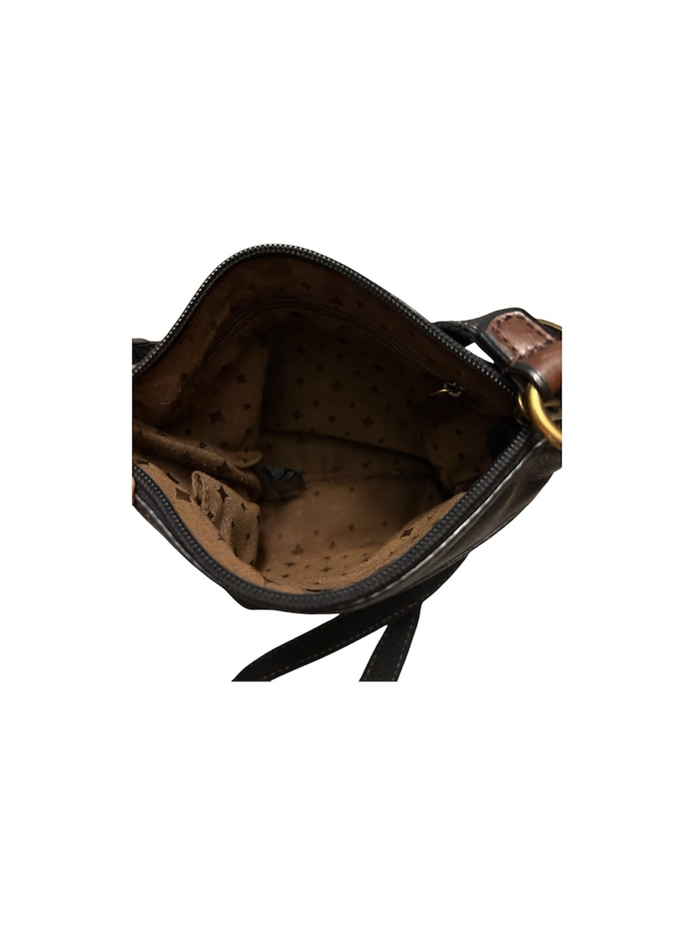 Fossil bundle - Picture 5 of 5